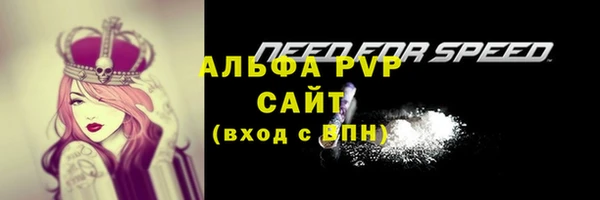 марки lsd Белокуриха