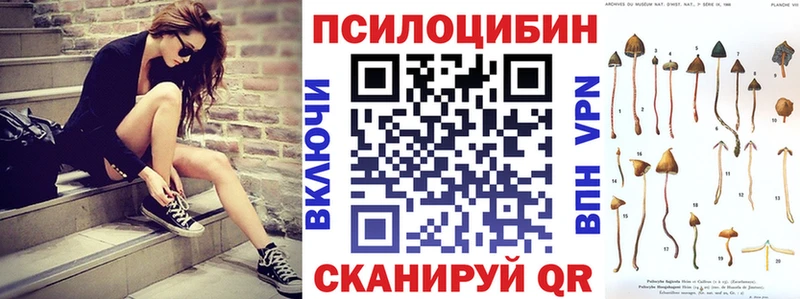 Псилоцибиновые грибы мухоморы  дарк нет клад  блэк спрут ссылка  Облучье  где продают наркотики 